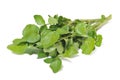 Watercress