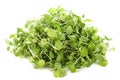 Watercress