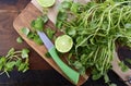 Watercress salad ingredient.