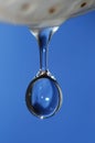 Waterdrop