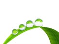 Waterdrop on a blade of grass. Royalty Free Stock Photo