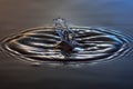 Waterdrop with crown Royalty Free Stock Photo