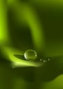 Waterdrop and green abstract background