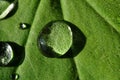 Waterdrop on a leaf