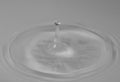Waterdrop VI., gray background Royalty Free Stock Photo