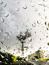 Waterdrops on a glass detail