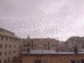 Waterdrops over the window after summer rain in the city Royalty Free Stock Photo