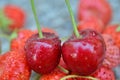 waterdrops on a sweet cherries
