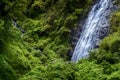 Waterfall called Le Voile de La Mariee, Salazie, Reunion Island Royalty Free Stock Photo