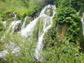 Waterfal, lake cascades, canyon and wooden bridge in Plitvice Lakes National Park