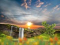 Waterfal mountain and tree on field at countryside , sea sunset wild flowers on field water sunlight reflection nature lands