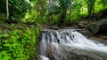 Waterfall in Abundant Clear Stream in the forest Small waterfall river with crystal clear water morning light nature background Royalty Free Stock Photo