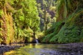 Columbia Gorge Waterfall in Summer Oregon USA Royalty Free Stock Photo