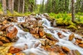 Waterfall Along East Opabin Trail at Lake O`Hara in Canadian Rockies Royalty Free Stock Photo