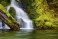 Waterfall along the Salmon River Mt. Hood National Forest Royalty Free Stock Photo