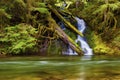 Waterfall along the Salmon River Royalty Free Stock Photo