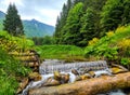 Waterfall and alpine vegetation in the Carpathian Mountains of Romania. Royalty Free Stock Photo