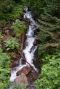 Waterfall in Alps Royalty Free Stock Photo