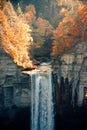 Waterfall in Autumn Royalty Free Stock Photo
