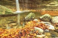 Waterfall. Autumn. Forest. Leaves. Water. Stone Royalty Free Stock Photo