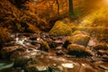 Waterfall in autumn. Forest stream running over mossy rocks. Filtered image: colorful effect. Royalty Free Stock Photo