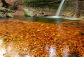 Waterfall. Autumn. Forest. Water. Stones. Leaves Royalty Free Stock Photo