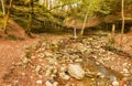 Waterfall, Autumn, Forest, Water, Sunny Day Royalty Free Stock Photo