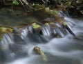 Waterfall with Autumn Leaves Royalty Free Stock Photo