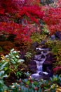 Waterfall autumn season Japan red maple