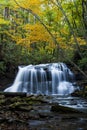 Waterfall in Autumn - Upper Falls of Fall Run Creek, Holly River State Park, West Virginia