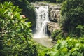 Waterfall in Bali island