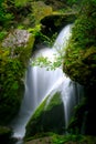 The waterfall Royalty Free Stock Photo