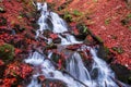 A waterfall in a beech autumn forest Royalty Free Stock Photo