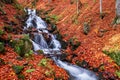 A waterfall in a beech autumn forest Royalty Free Stock Photo