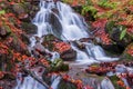 A waterfall in a beech autumn forest Royalty Free Stock Photo