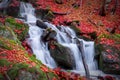 A waterfall in a beech autumn forest Royalty Free Stock Photo