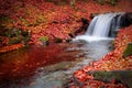 A waterfall in a beech autumn forest Royalty Free Stock Photo