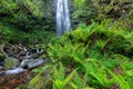 Waterfall of Belaustegi beech forest, Gorbea Natural Park, Vizcaya, Spain