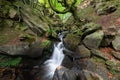 Waterfall of Belaustegi beech forest, Gorbea Natural Park, Vizcaya, Spain