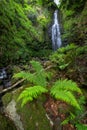 Waterfall of Belaustegi beech forest, Gorbea Natural Park, Vizcaya, Spain