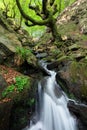 Waterfall of Belaustegi beech forest, Gorbea Natural Park, Vizcaya, Spain