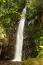 Waterfall on Bequia Island Royalty Free Stock Photo