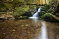 Waterfall in black forest, Germany Royalty Free Stock Photo