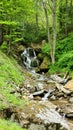 Waterfall in the blue ridge mountians in spring Royalty Free Stock Photo