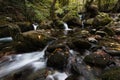 Waterfall over mossy boulders in forest