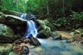 Waterfall in a Borneo Jungle Royalty Free Stock Photo