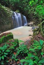 Waterfall in a Borneo Jungle