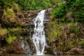 Waterfall in the botanical garden of Waimea Valley, Oahu, Hawaii