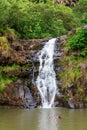 Waterfall in the botanical garden of Waimea Valley, Oahu, Hawaii