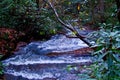 Waterfall in Brevard, NC